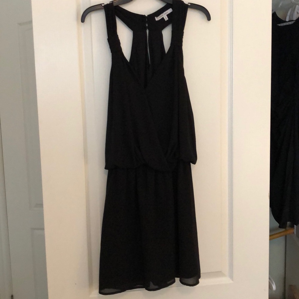 Naked Zebra Mini Dress